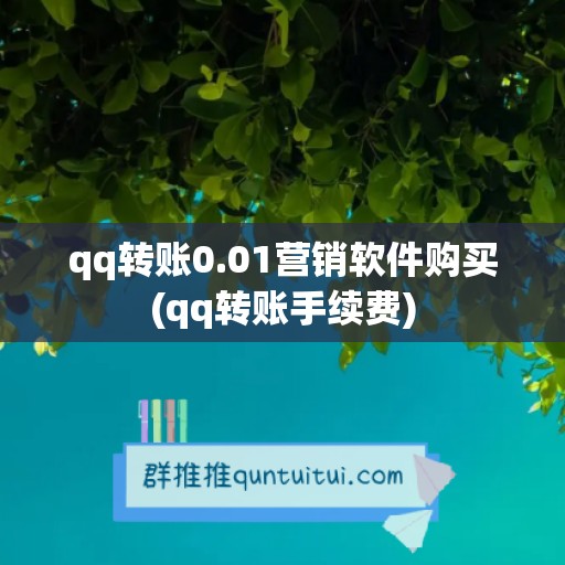 qq转账0.01营销软件购买(qq转账手续费)