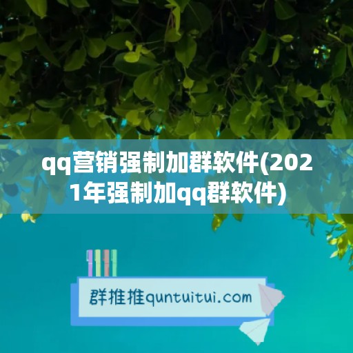 qq营销强制加群软件(2021年强制加qq群软件)