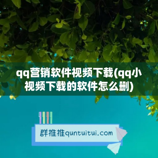 qq营销软件视频下载(qq小视频下载的软件怎么删)