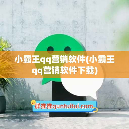 小霸王qq营销软件(小霸王qq营销软件下载)