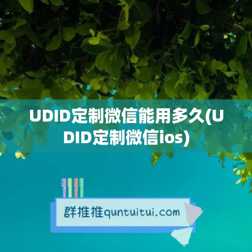 UDID定制微信能用多久(UDID定制微信ios)