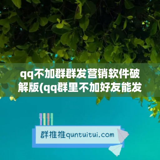 qq不加群群发营销软件破解版(qq群里不加好友能发私信吗)