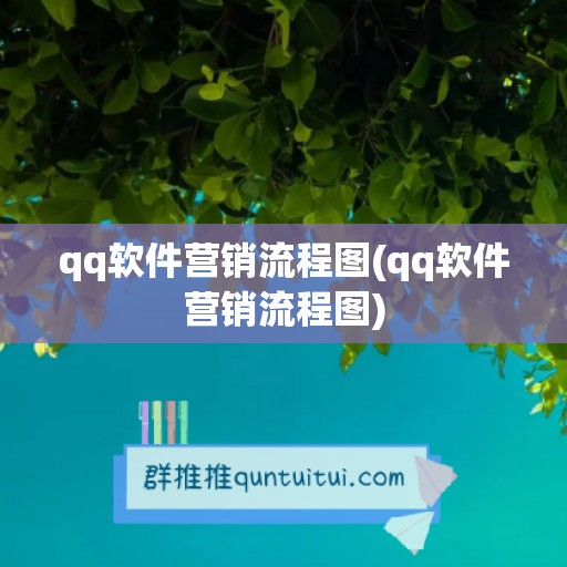 qq软件营销流程图(qq软件营销流程图)