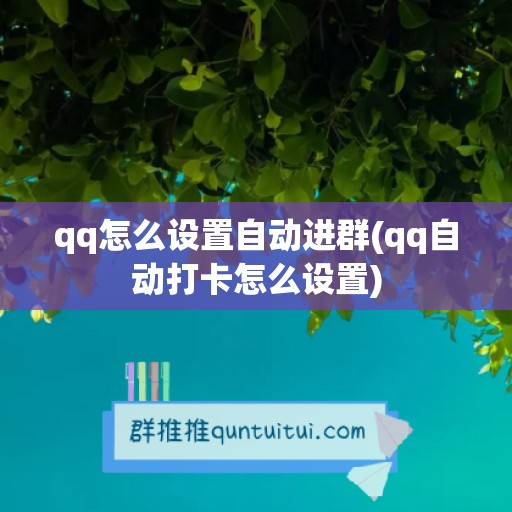 qq怎么设置自动进群(qq自动打卡怎么设置)