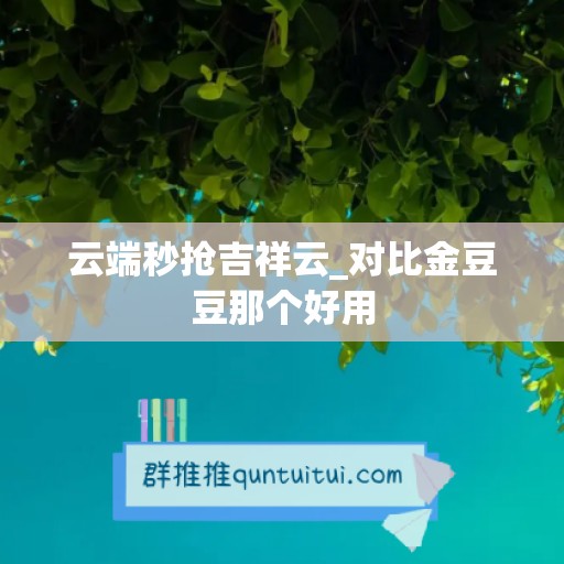 云端秒抢吉祥云_对比金豆豆那个好用