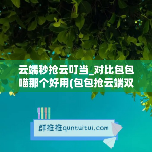 云端秒抢云叮当_对比包包喵那个好用(包包抢云端双号最新官网)