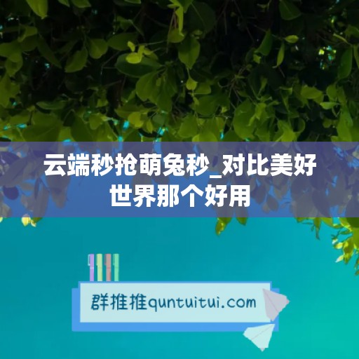 云端秒抢萌兔秒_对比美好世界那个好用