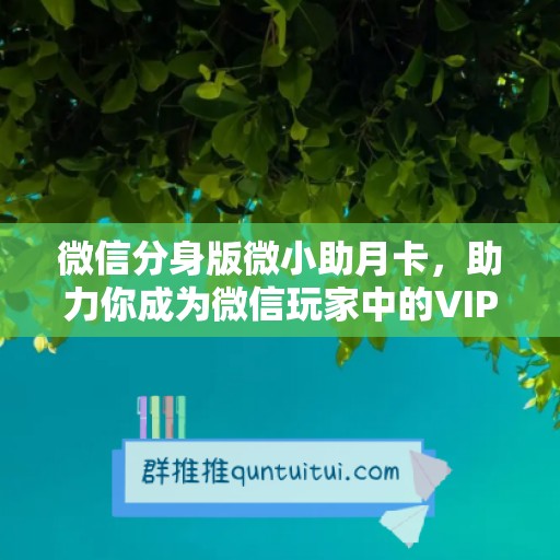 微信分身版微小助月卡，助力你成为微信玩家中的VIP！