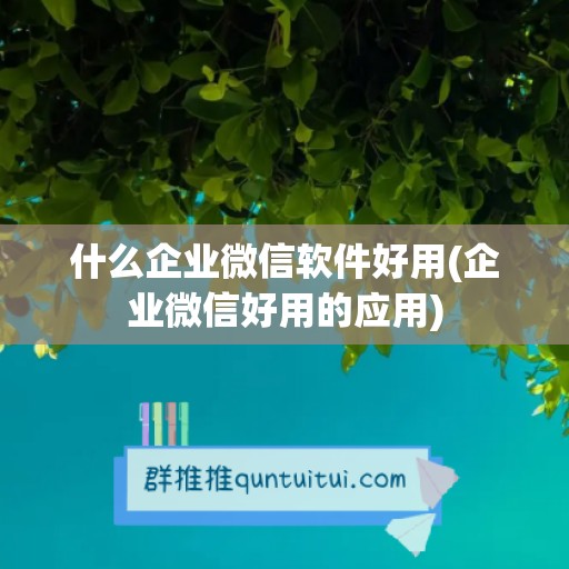 什么企业微信软件好用(企业微信好用的应用)