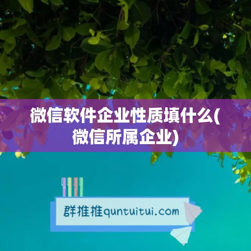 微信软件企业性质填什么(微信所属企业)