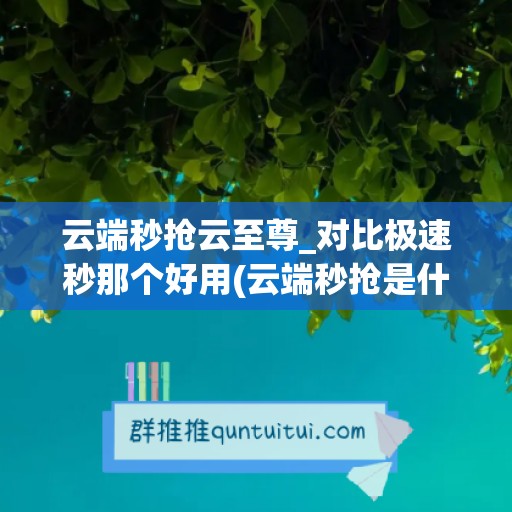 云端秒抢云至尊_对比极速秒那个好用(云端秒抢是什么)