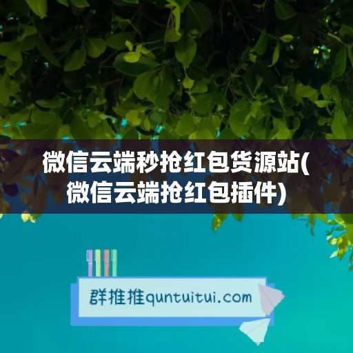 微信云端秒抢红包货源站(微信云端抢红包插件)