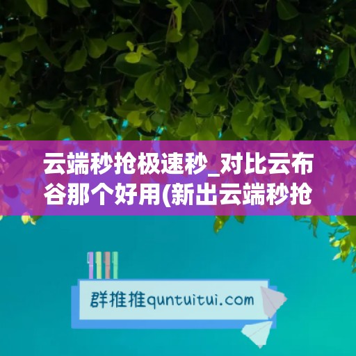 云端秒抢极速秒_对比云布谷那个好用(新出云端秒抢)