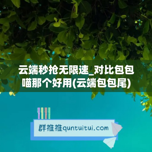 云端秒抢无限速_对比包包喵那个好用(云端包包尾)