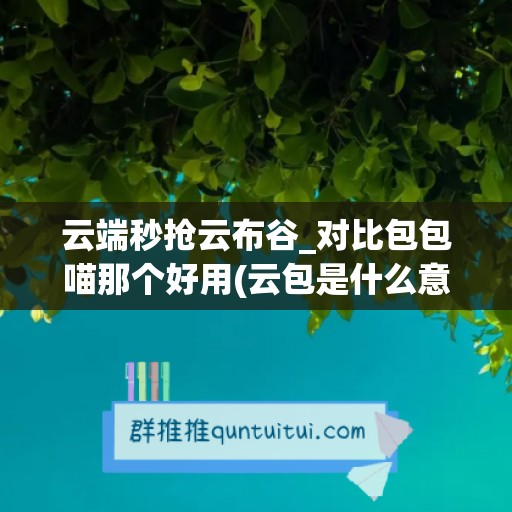 云端秒抢云布谷_对比包包喵那个好用(云包是什么意思)