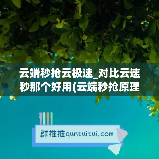 云端秒抢云极速_对比云速秒那个好用(云端秒抢原理)