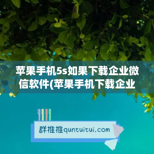 苹果手机5s如果下载企业微信软件(苹果手机下载企业微信的步骤)