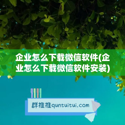 企业怎么下载微信软件(企业怎么下载微信软件安装)