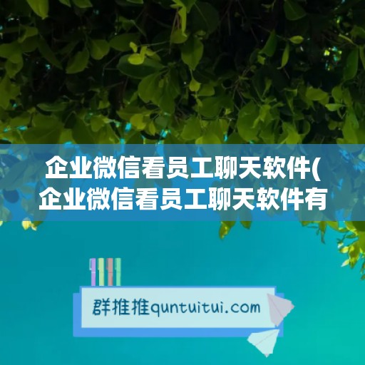 企业微信看员工聊天软件(企业微信看员工聊天软件有哪些)