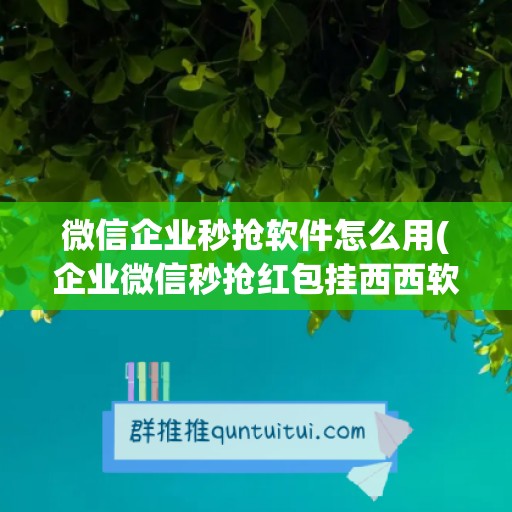 微信企业秒抢软件怎么用(企业微信秒抢红包挂西西软件)