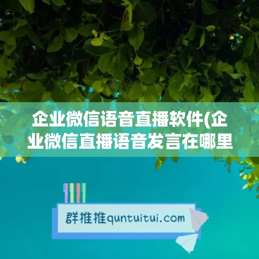 企业微信语音直播软件(企业微信直播语音发言在哪里)