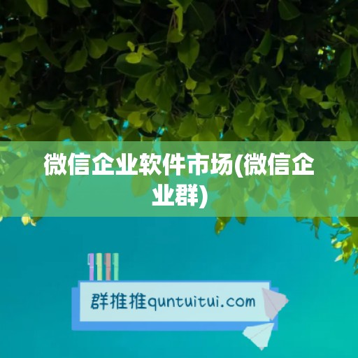 微信企业软件市场(微信企业群)