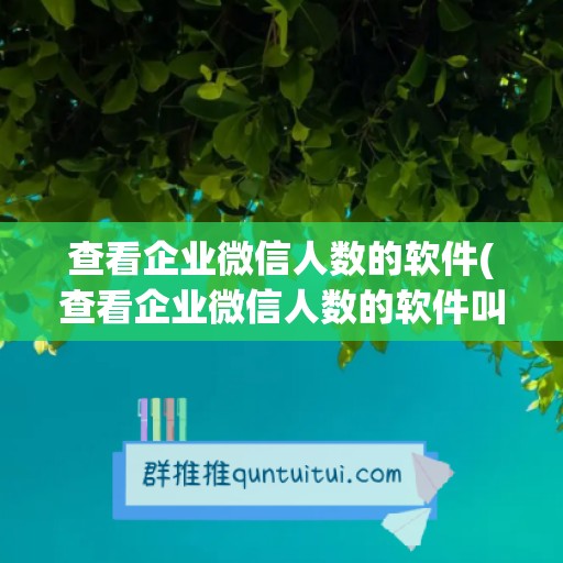 查看企业微信人数的软件(查看企业微信人数的软件叫什么)