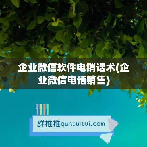 企业微信软件电销话术(企业微信电话销售)