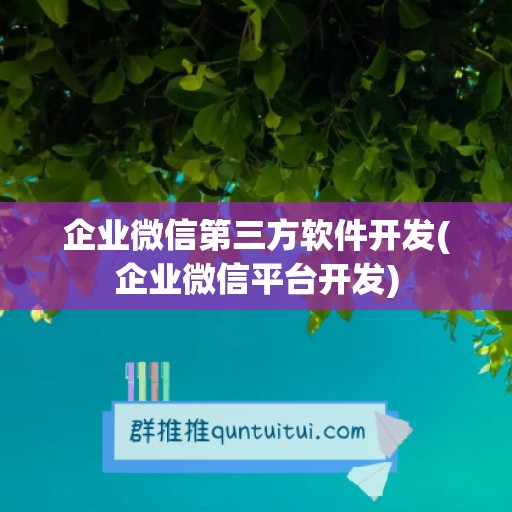 企业微信第三方软件开发(企业微信平台开发)