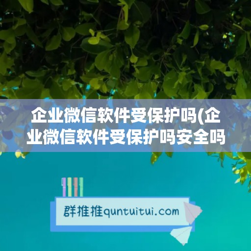 企业微信软件受保护吗(企业微信软件受保护吗安全吗)