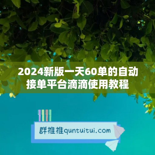 2024新版一天60单的自动接单平台滴滴使用教程