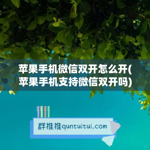 苹果手机微信双开怎么开(苹果手机支持微信双开吗)