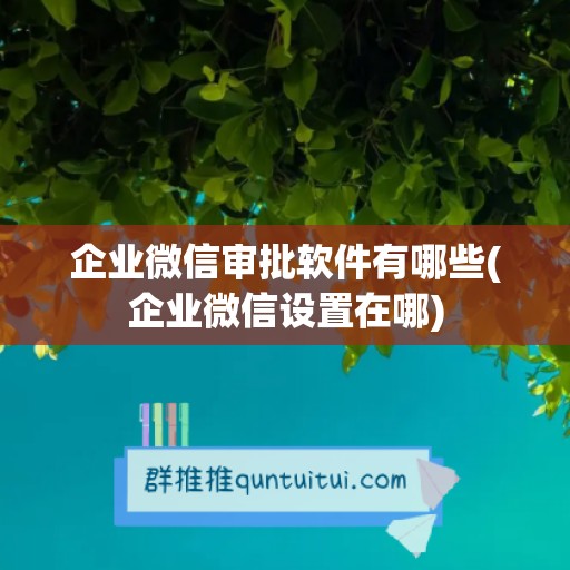 企业微信审批软件有哪些(企业微信设置在哪)