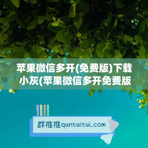 苹果微信多开(免费版)下载 小灰(苹果微信多开免费版下载)