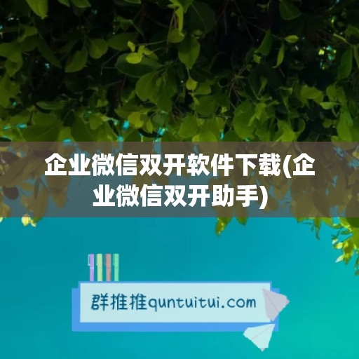 企业微信双开软件下载(企业微信双开助手)