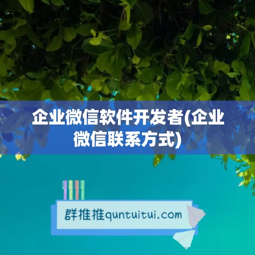 企业微信软件开发者(企业微信联系方式)