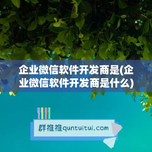 企业微信软件开发商是(企业微信软件开发商是什么)