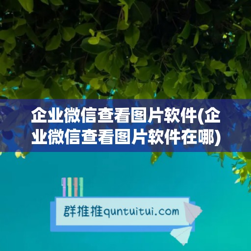 企业微信查看图片软件(企业微信查看图片软件在哪)