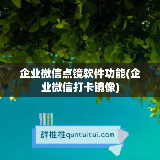 企业微信点镜软件功能(企业微信打卡镜像)