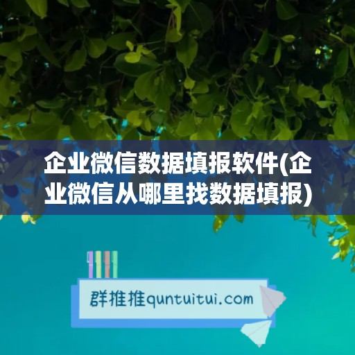 企业微信数据填报软件(企业微信从哪里找数据填报)