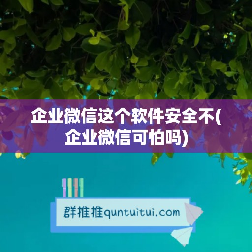 企业微信这个软件安全不(企业微信可怕吗)