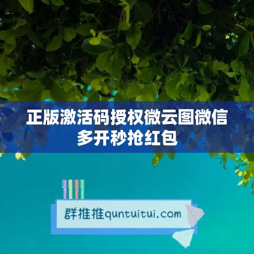 正版激活码授权微云图微信多开秒抢红包