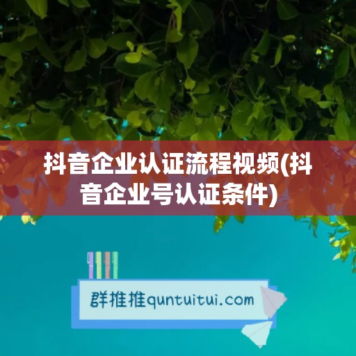 抖音企业认证流程视频(抖音企业号认证条件)