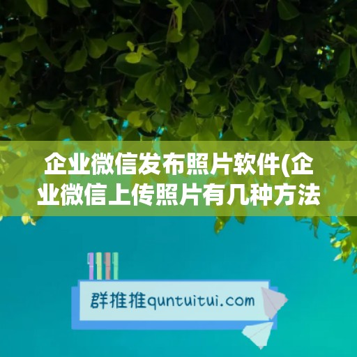 企业微信发布照片软件(企业微信上传照片有几种方法)