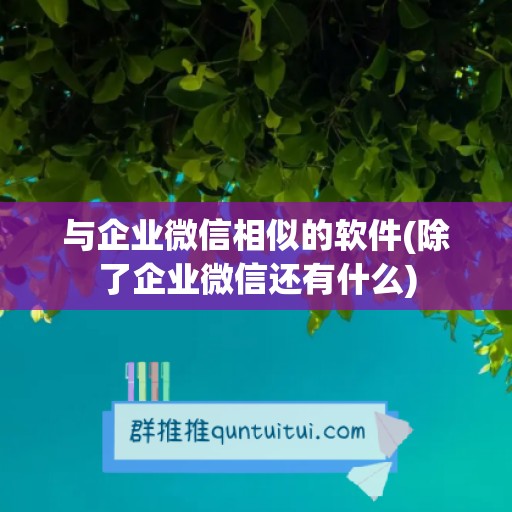 与企业微信相似的软件(除了企业微信还有什么)