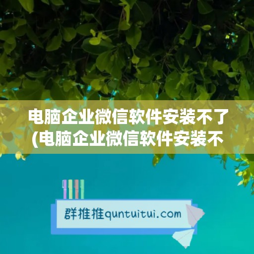 电脑企业微信软件安装不了(电脑企业微信软件安装不了怎么办)