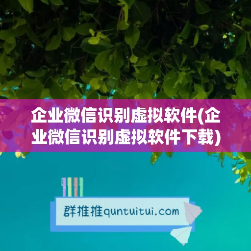 企业微信识别虚拟软件(企业微信识别虚拟软件下载)