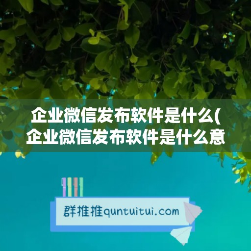 企业微信发布软件是什么(企业微信发布软件是什么意思)