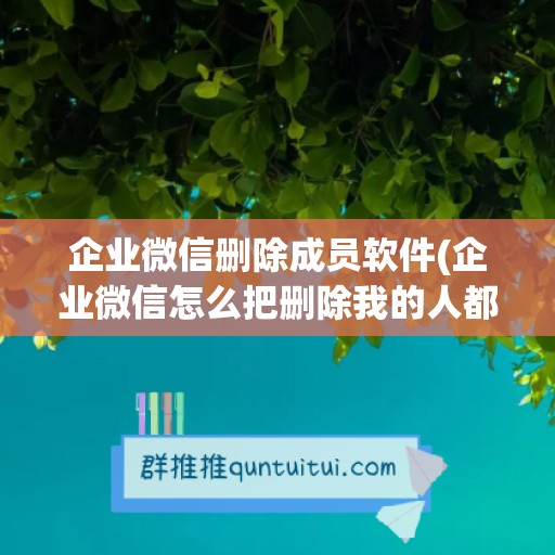 企业微信删除成员软件(企业微信怎么把删除我的人都找出来)