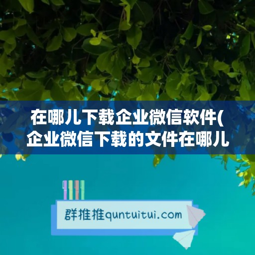 在哪儿下载企业微信软件(企业微信下载的文件在哪儿)